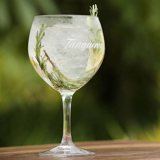 gin tonica drink como preparar
